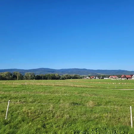 Na Groniku Apartment Neumarkt